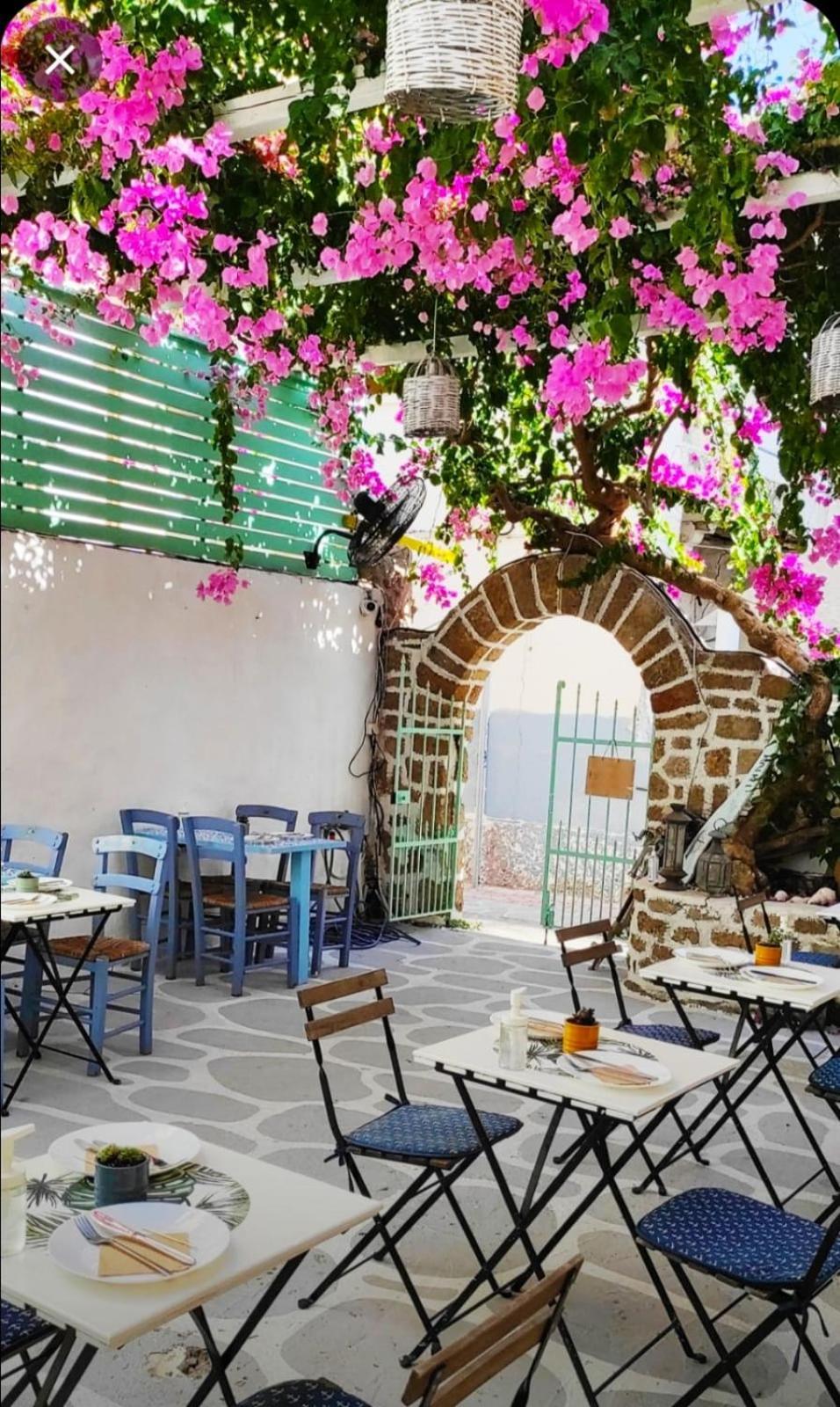 Galanopetra Rhodes Greece Hotel Rhodes City Bagian luar foto